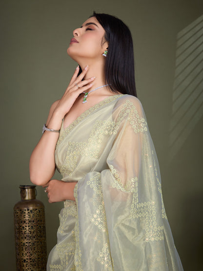 Golden Beige Gold Infused Shimmer Net Saree