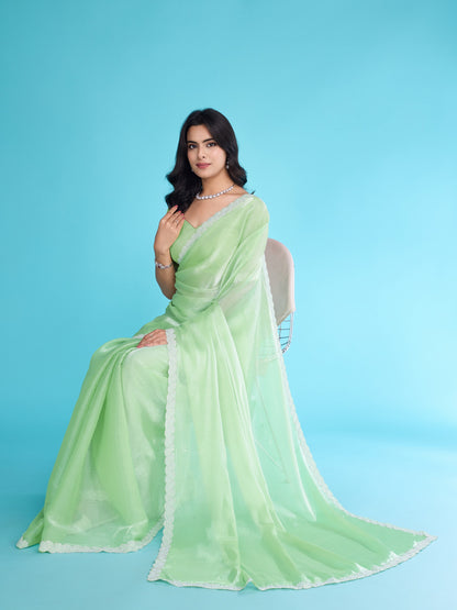 Light Green Tissue Burberry Saree