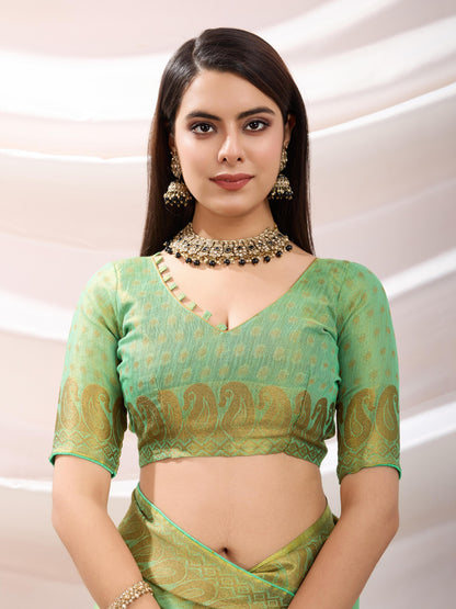 Pastel Green Linen Tissue Saree with Black Thread & Zari Weaving – Designer Blouse & Tassels